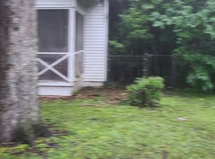 Bush Trimming by Matthew Strokus for Diana M. in Leesburg, FL