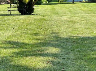 Kyle L.'s Lawn Mowing Service service result