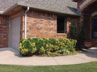 Bush Trimming by Dakota Lally for Brandon R. in Oklahoma City, OK