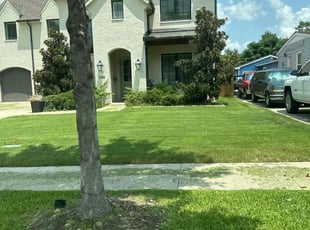 Arthurine W.'s Lawn Mowing service result