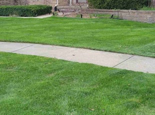Bush Trimming by David Scalf for Vincent S. in Clinton Township, MI