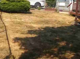 Bush Trimming by Robert Marsico for Maggie Jean S. in Portland, OR