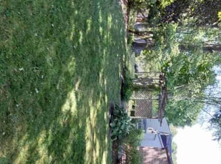 Kelsey R.'s Lawn Maintenance service result