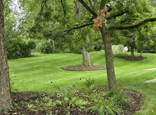 David T.'s Lawn Care service result