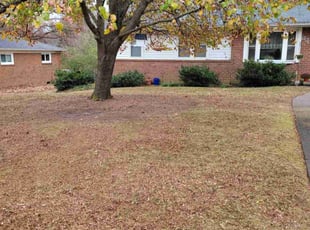 Leaf Removal by Mike Williams for Rebecca T. in Richmond, VA