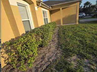 Bush Trimming by Daniel Dorney for Jeannette G. in Vero Beach, FL