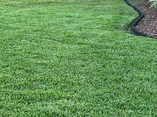 Sonya G.'s Lawn Mowing Service service result