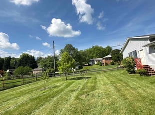 Bill R.'s Yard Cutting service result