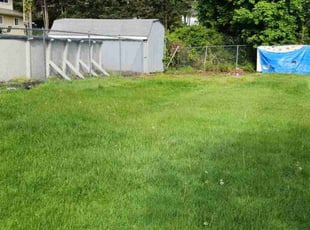 Wynter J.'s Lawn Care service result