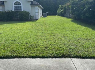 Nicole L.'s Lawn Mowing service result