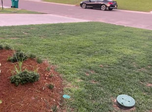 Weeding by Melinda Smith for Brigitte K. in Dennis Mills, LA