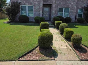 Bush Trimming by Sandro Cardoso for Tiffany T. in Cedar Hill, TX