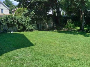 Wanda S.'s Lawn Service service result