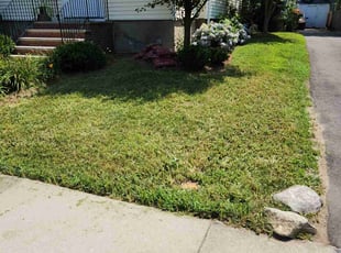 Christina h.'s Grass Cutting service result