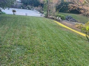Kimberly S.'s Grass Cutting service result