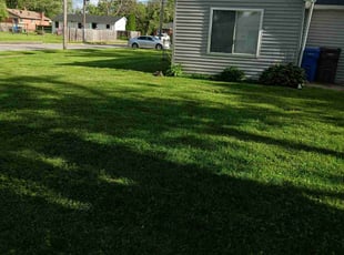Carvin W.'s Lawn Mowing service result