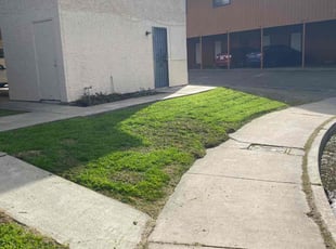 Lynn M.'s Lawn Service service result