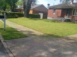 Melissa P.'s Lawn Service service result
