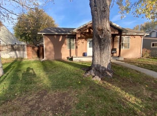 Leaf Removal by Jesse Nunez for Sarah M. in Englewood, CO