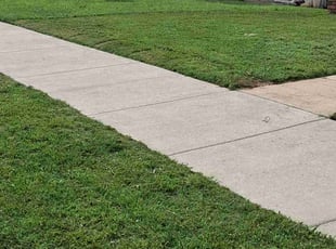 ELIZABETH F.'s Yard Cutting service result