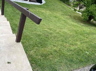 Siomara V.'s Lawn Mowing service result