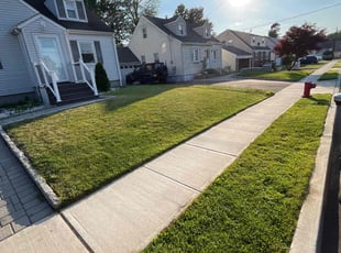 Jessica L.'s Lawn Mowing Service service result