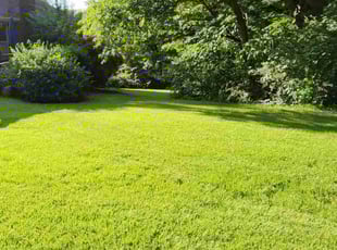 Vincent V.'s Lawn Mowing service result