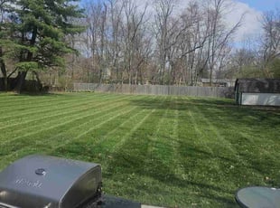 Michele P.'s Lawn Mowing service result