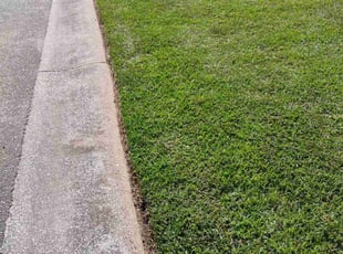 Michael N.'s Lawn Service service result