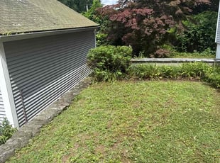 Bush Trimming by Harry Figueroa for Josette B. in East Longmeadow, MA
