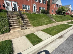 Crystal L.'s Lawn Maintenance service result