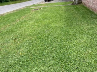 Juan H.'s Lawn Maintenance service result