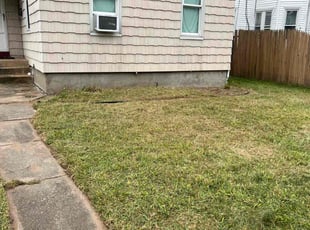 Christine R.'s Lawn Mowing service result