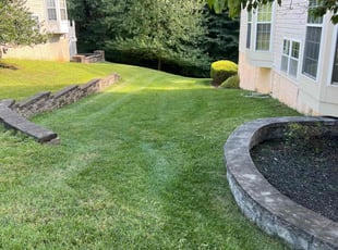 John S.'s Lawn Maintenance service result