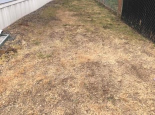 Weeding by Brian Stitt for Jeff O. in Gig Harbor, WA