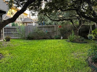 Kendall W.'s Grass Cutting service result