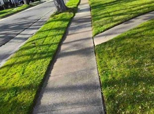 Dennis H.'s Grass Cutting service result