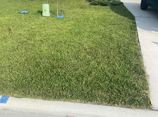 David S.'s Lawn Mowing service result