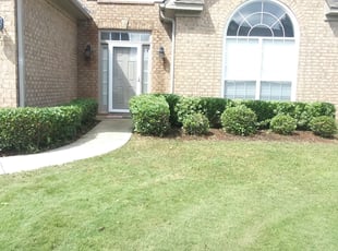 Bush Trimming by Ronaldo Hinton for Jonte B. in Helena, AL