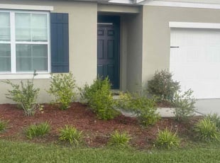 Weeding by Apolinar Bravo for Stefan S. in Lakeland, FL
