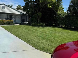 Linda S.'s Lawn Mowing Service service result