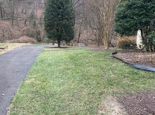 Leaf Removal by Angel P. for Dia C. in Falls Church, VA