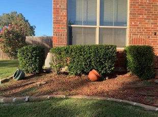 Bush Trimming by Glen Fogg for Herman M. in Denton, TX