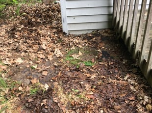 Leaf Removal by Christopher Horstman for Kim T. in Cincinnati, OH