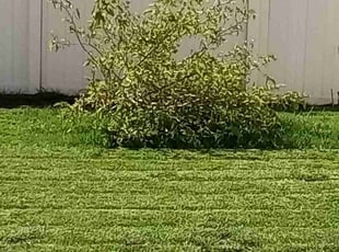 Vernon H.'s Lawn Service service result