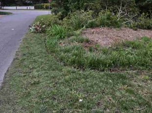 Bush Trimming by Chelsea Morris for Jennifer S. in Virginia Beach, VA