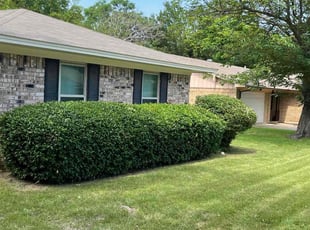 Bush Trimming by Samuel Fogg for Jerry M. in Denton, TX