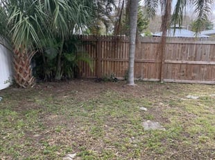 Leaf Removal by Tyler Greeley for Lensy H. in Largo, FL