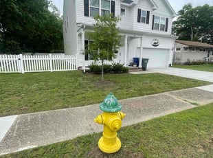 Bush Trimming by Caleb Gaines for Janelle H. in Norfolk, VA