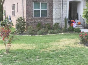 Bush Trimming by Hiram Sutton for Zackery W. in Marvin, NC